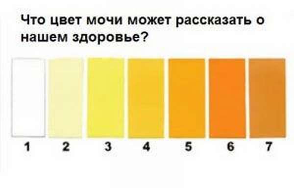 при беременности моча