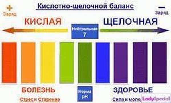 норма