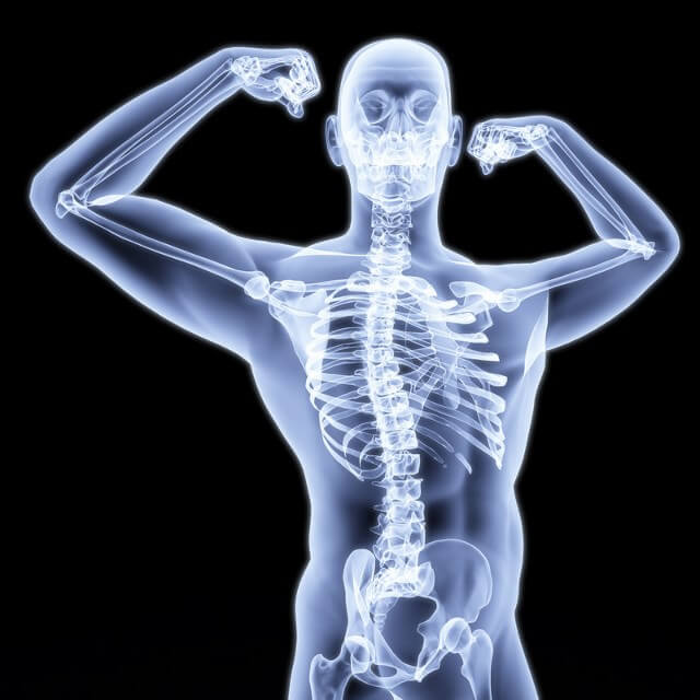 корни одуванчика