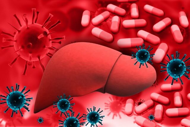 корни одуванчика